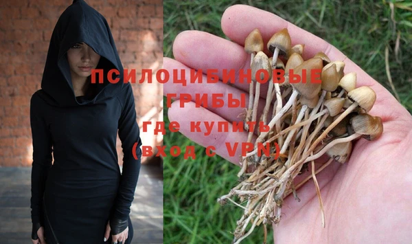 прущий лед Алексеевка