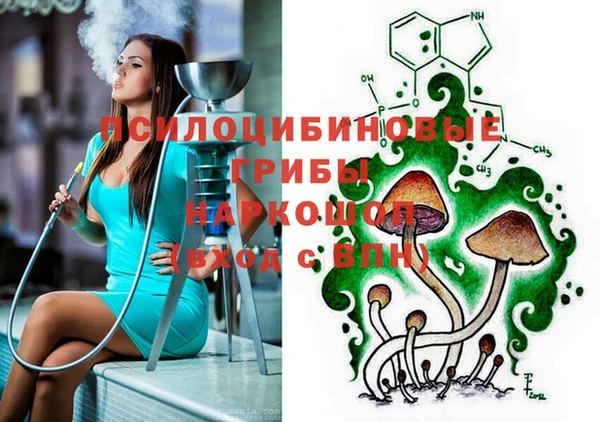 бошки Алзамай