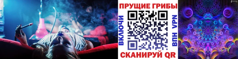 мега ссылки  Карпинск  Псилоцибиновые грибы GOLDEN TEACHER 