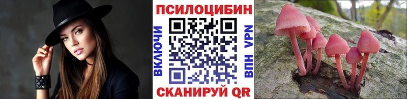 Псилоцибиновые грибы Magic Shrooms Карпинск